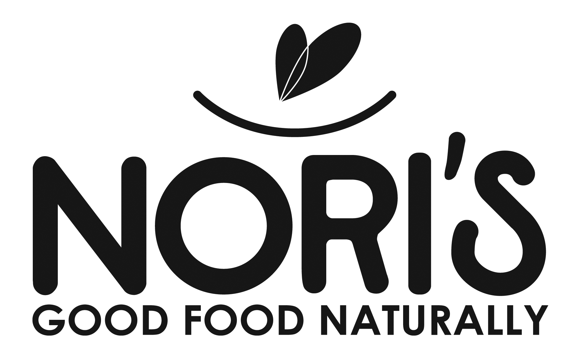 noris natural holistic organic food market saranac lake new york